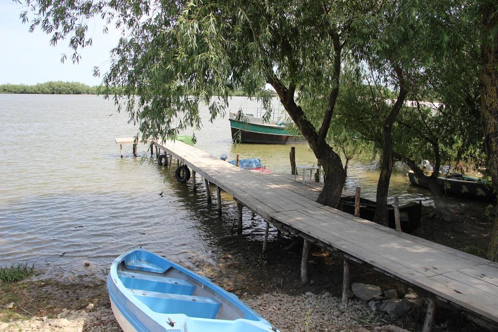 Pensiunea Delta D.M.Y. Mahmudia Esterno foto